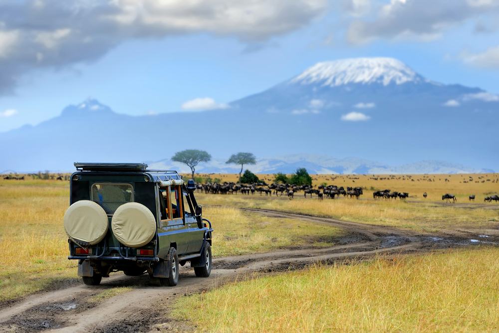 Safari,Game,Drive,With,The,Wildebeest,,Masai,Mara,Reserve,In
